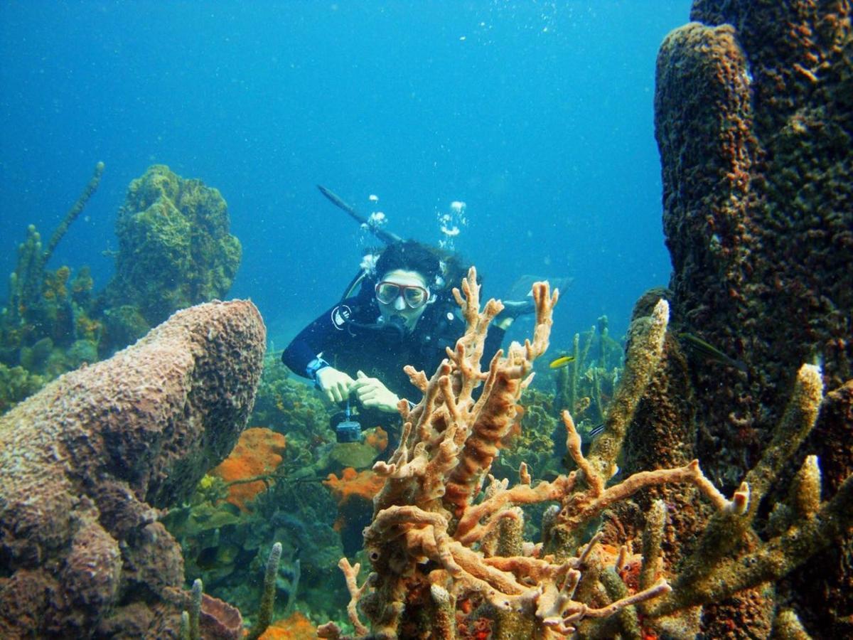 Ecohotel Arte Y Aventura Isla Grande  Buitenkant foto