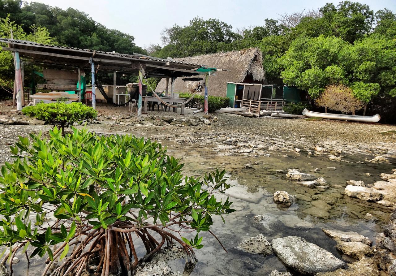 Ecohotel Arte Y Aventura Isla Grande  Buitenkant foto