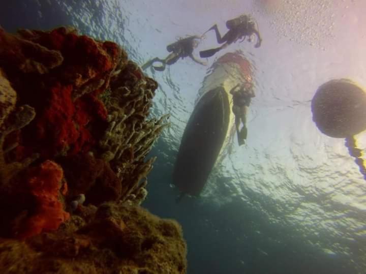 Ecohotel Arte Y Aventura Isla Grande  Buitenkant foto